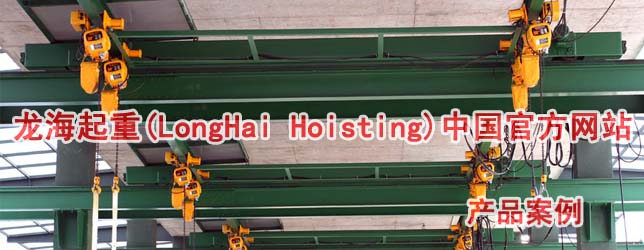 变频环链电动葫芦使用案例